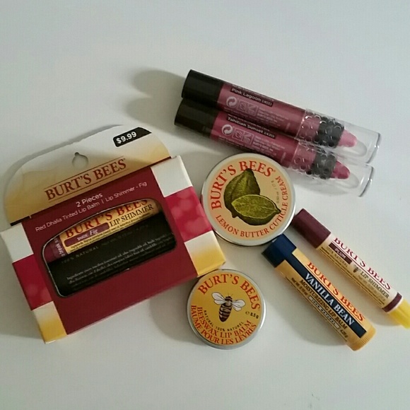 Burt's Bees Other - Burt's Bees Makeup Bundle